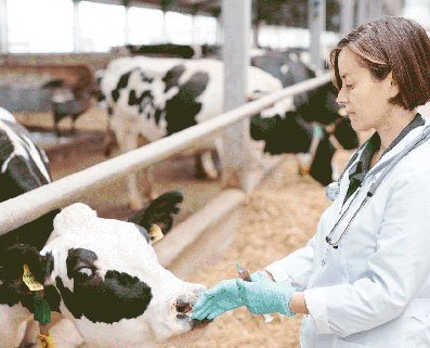 Veterinary APIs